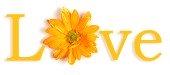 Gods Promises, God's Promise, Healing from Domestic Violence